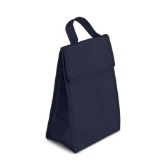 Bolsa Térmica em Tnt 80G/M² (28X17) com Logotipo