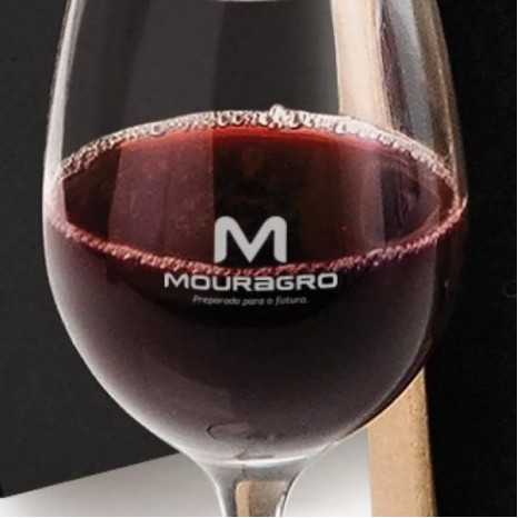 Jogo de Taças de Vidro para Vinho 490 Ml 2 Pçs Personalizado