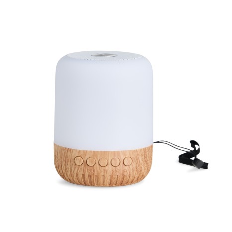 Caixa de Som Multimídia Promocional