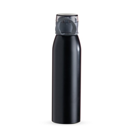 Garrafa Inox 650Ml para Brinde